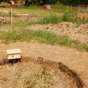 Icône de Agroécologie