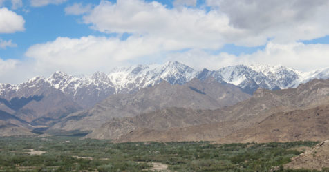 L’Afghan e(s)t le Sauvage
