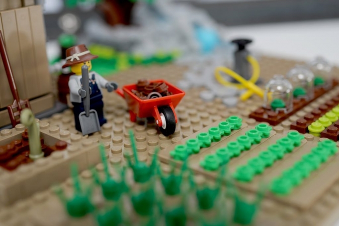 Associations de cultures ou jardinage traditionnel ? Mise en scène potagère de Legos