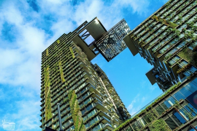 Quand il est question de biodiversité en ville, le patrimoine bâti a un rôle prépondérant à jouer