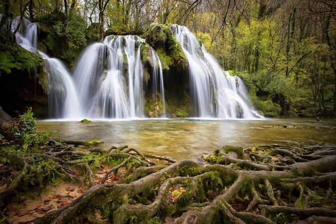 La bioindication permet d'évaluer la qualité d'eau des cascades et des cours, par exemple en milieu forestier