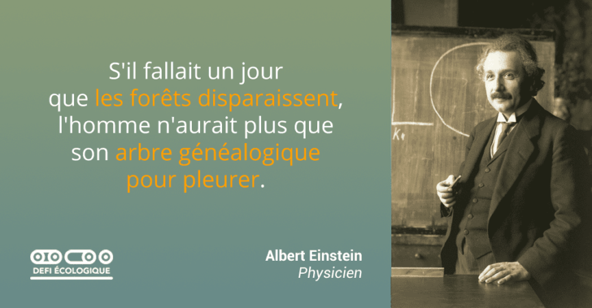 einstein citation