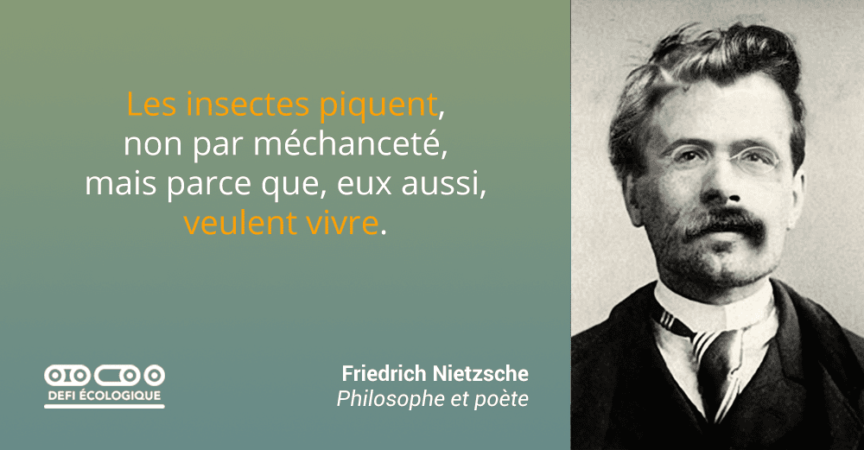 Citation De Friedrich Nietzsche A Propos De L Ecologie Defi Ecologique Le Blog