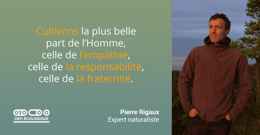 Citation De Pierre Rigaux A Propos De L Ecologie Defi Ecologique Le Blog