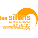 Logo de LesSillons