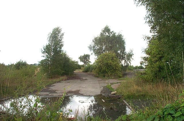 Friche abandonnée doucement re-colonisée par la nature