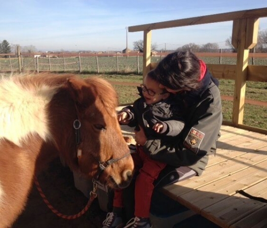 Scéance d'équithérapie avec un jeune garçon et un poney