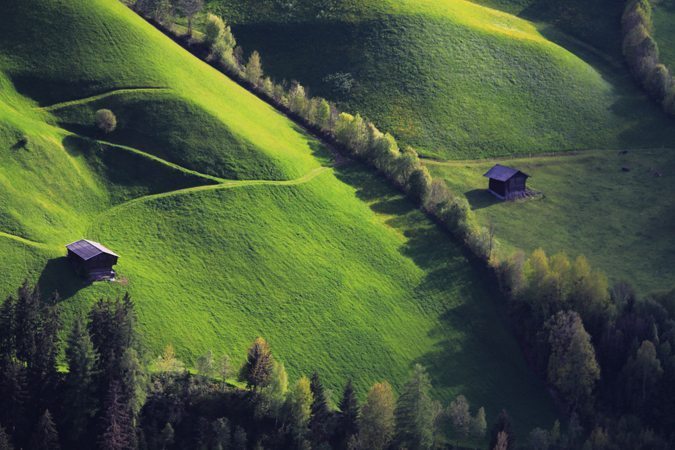 Haie champêtre agricole