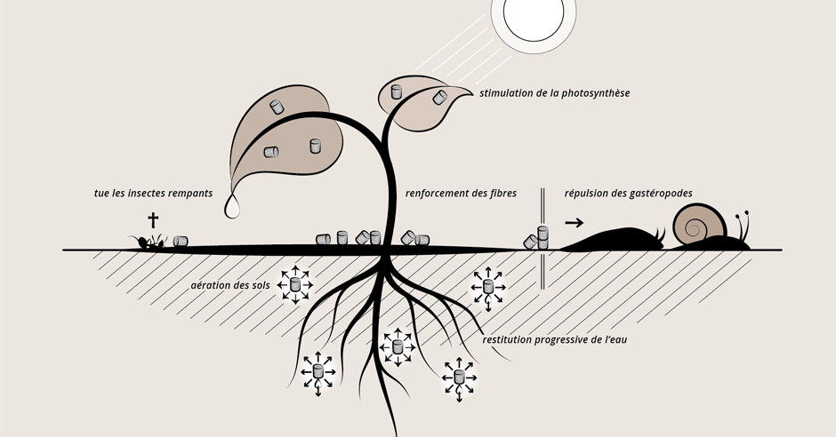 illustrations_infographie-2