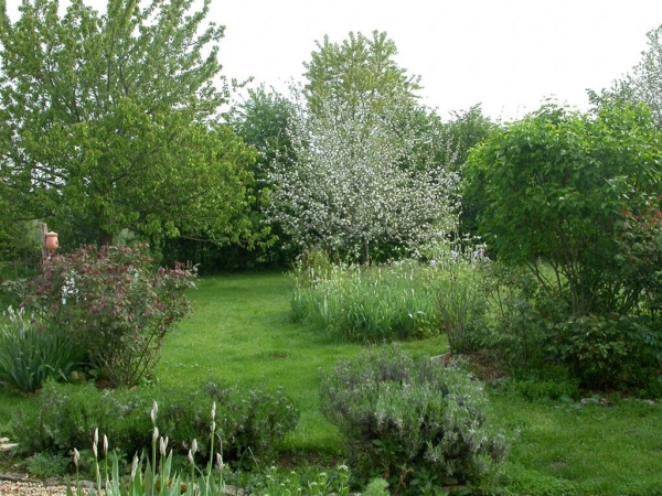 Comment aménager son jardin pour la faune sauvage