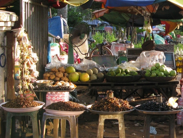 Étal d'insectes à manger au Cambodge