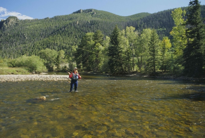 La pêche à la mouche est une pêche en eau douce particulière et relativement proche de l'animal