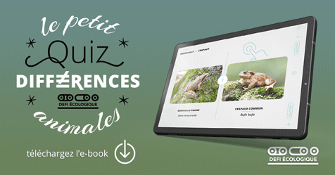 Télécharger Le petit quiz des différences animales