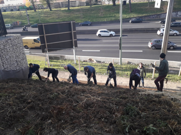 Plantation collective d'une forêt avec la méthode Miyawaki, organisée par l'association Boomforest